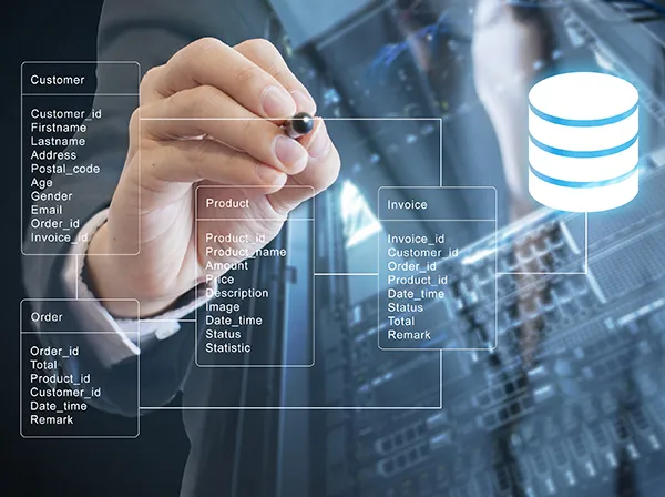 Database Management Experience